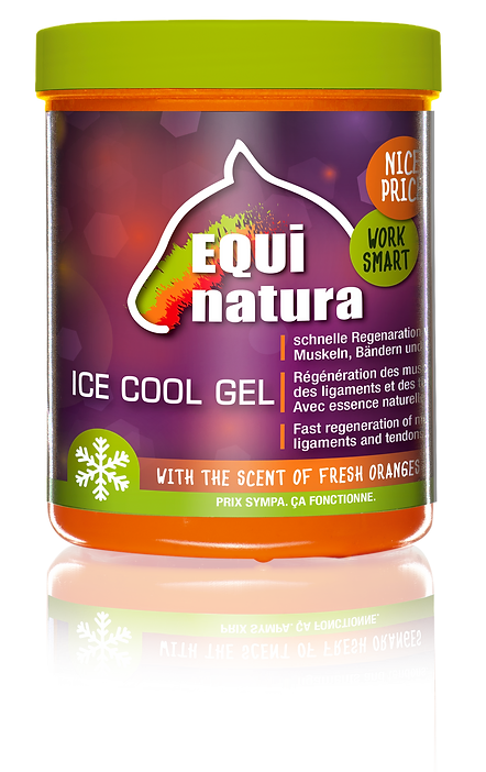 Equinatura - Ice Cool Gel - zur Regeneration von Muskeln, Bändern und Sehnen